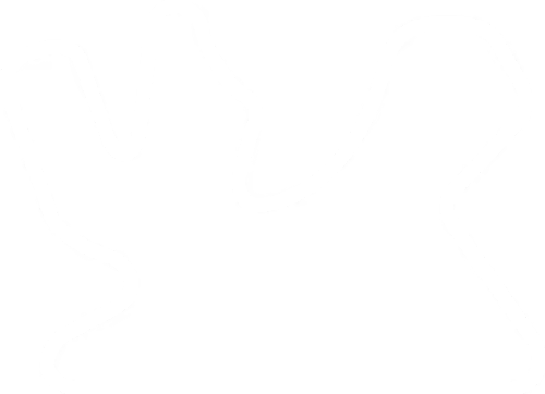 Circuit Quatar